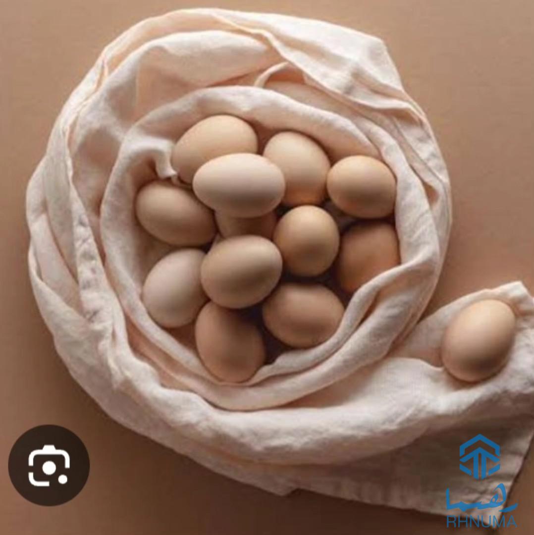 تخم‌های وطنی و خانگی – تازه، طبیعی و مقوی!