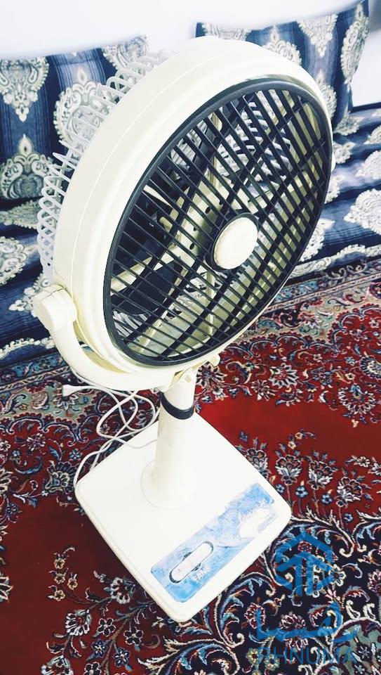 یک عدد باد پکه زمینی اصلی پاکستانی