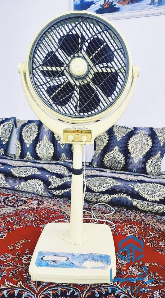 یک عدد باد پکه زمینی اصلی پاکستانی