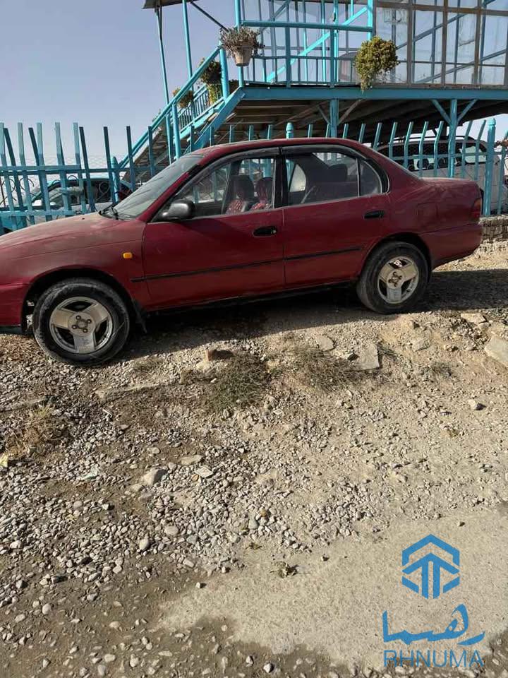 کرولا جرمنی
