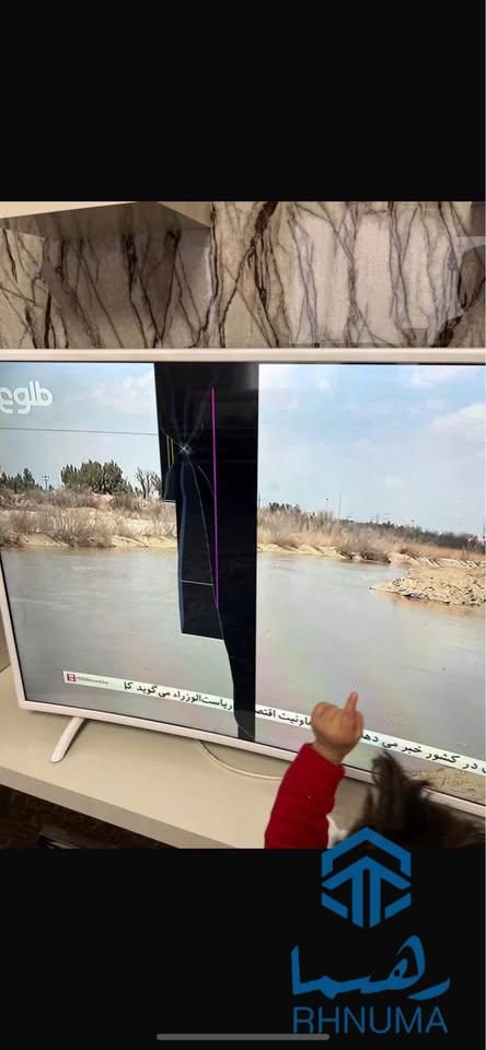 تلويزيون فروشي