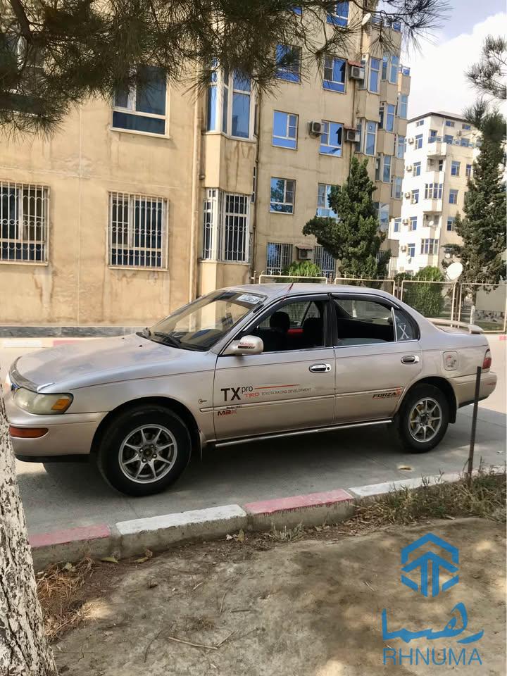 مارچه و فروشی کرولای کانادایی