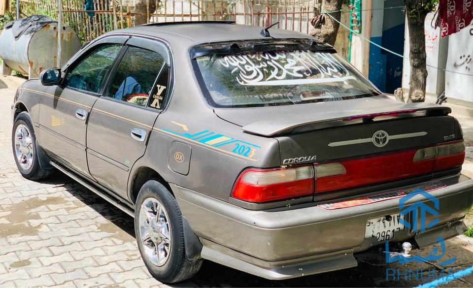 فروش و یا مالچه