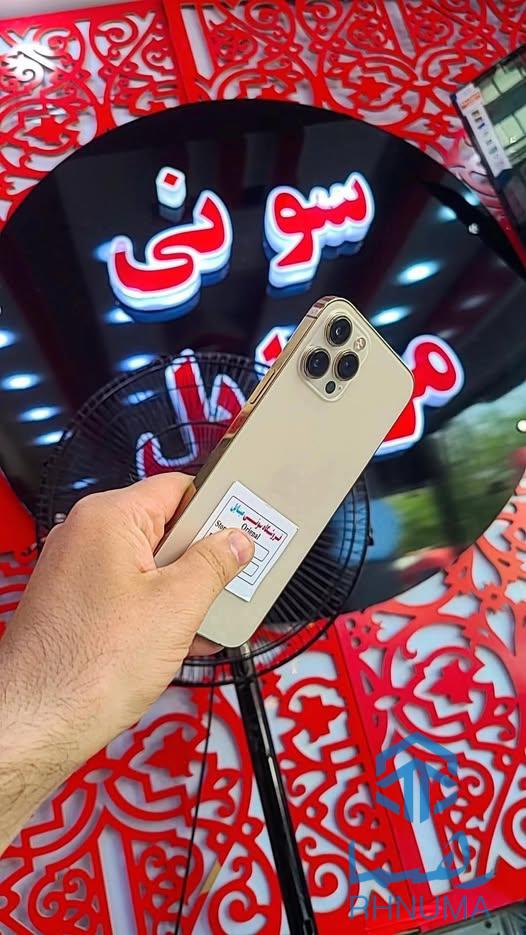 iPhone 12 pro max