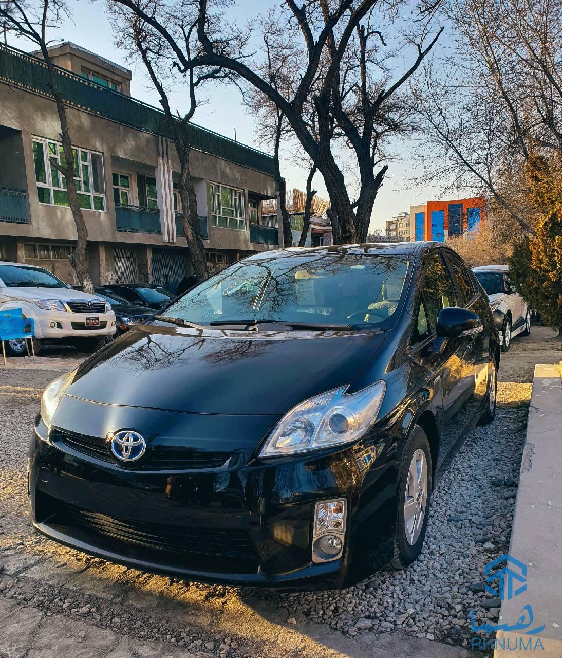 پریوس دست افغانستان نوارد