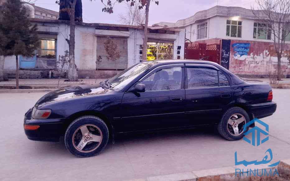 تیوتا کرولا کانادایی