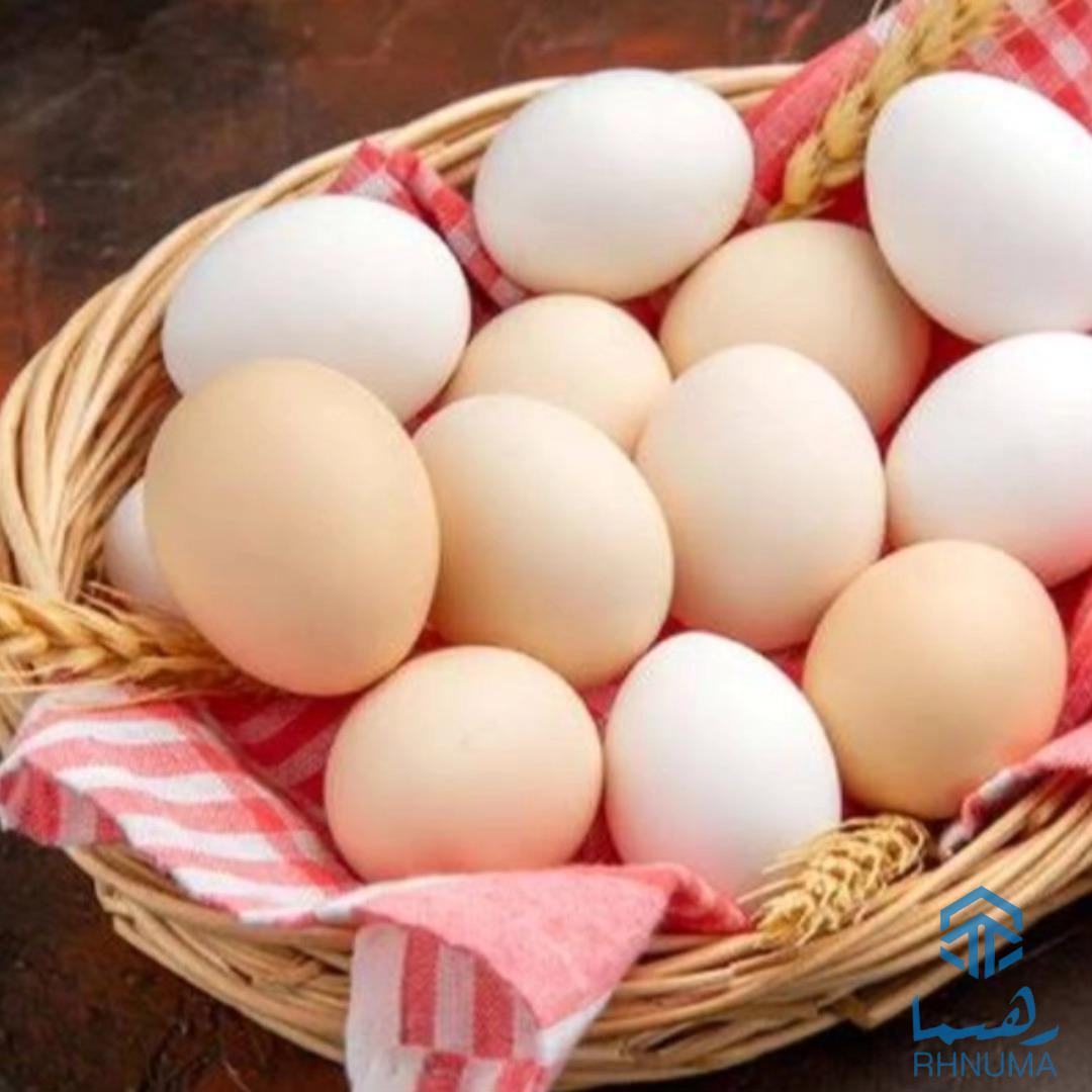 تخم‌های وطنی و خانگی – تازه، طبیعی و مقوی!