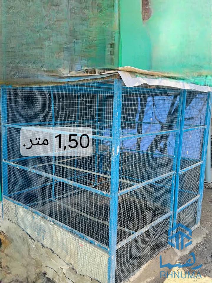قفس فروشی .