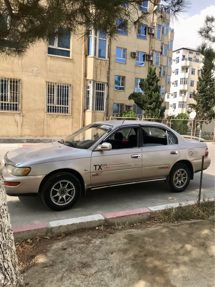 مارچه و فروشی کرولای کانادایی
