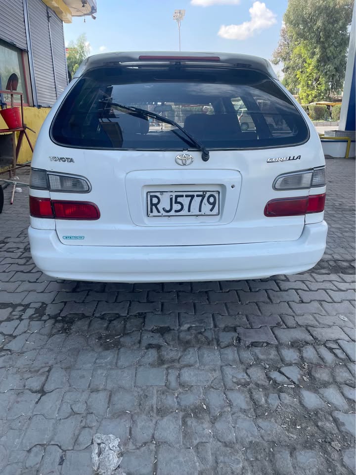عاجل سراچه جیتورینګ