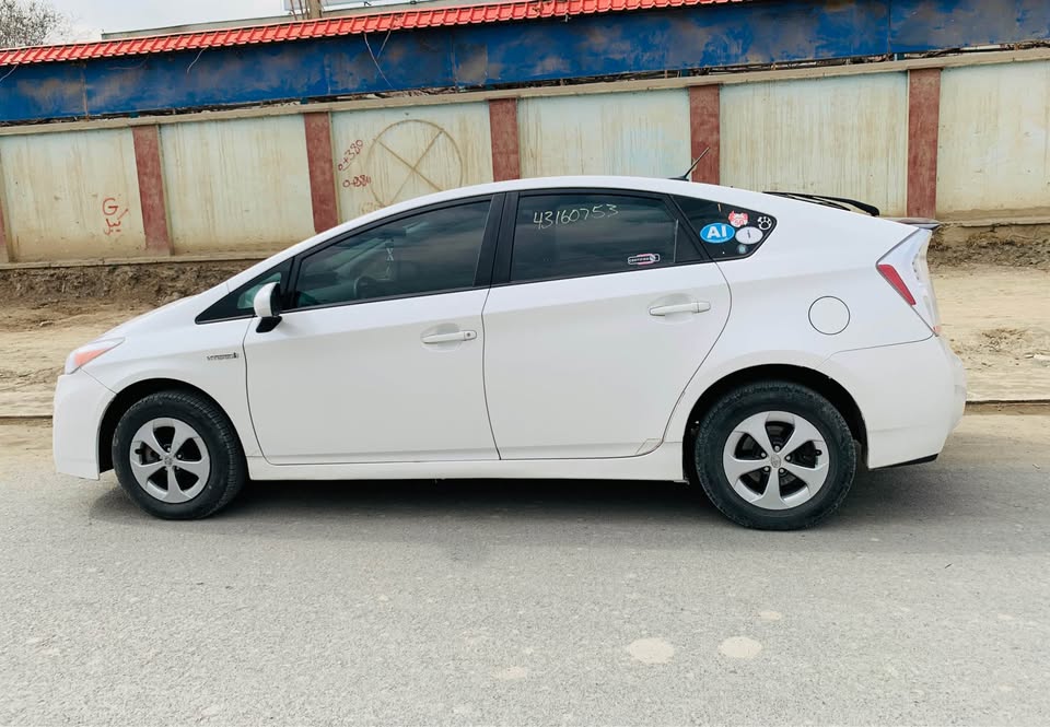 برای فروش و مالچه