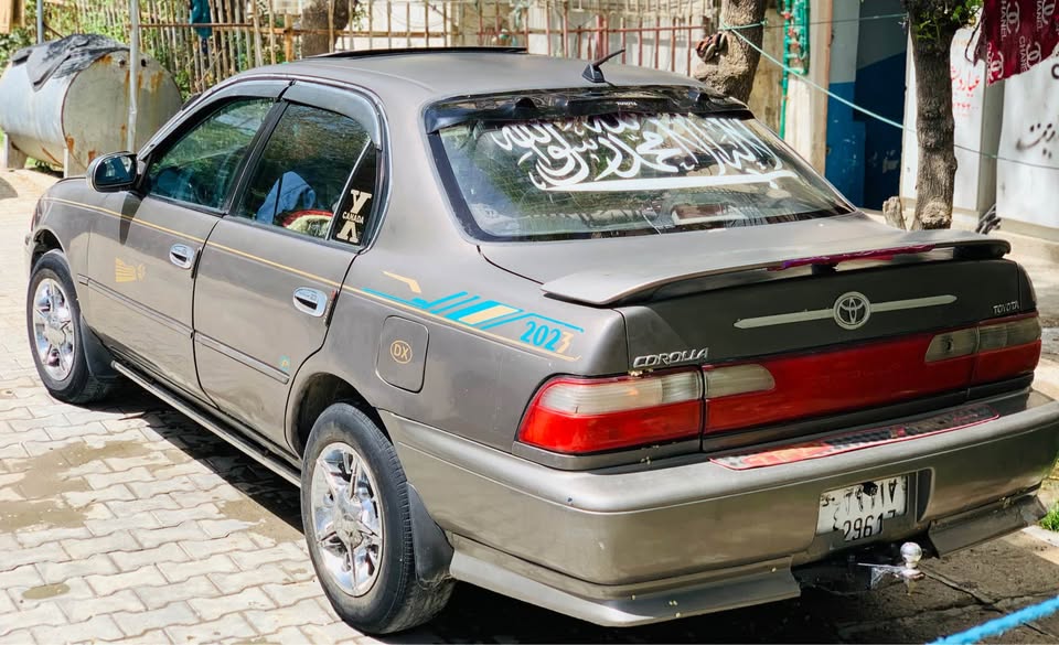 فروش و یا مالچه