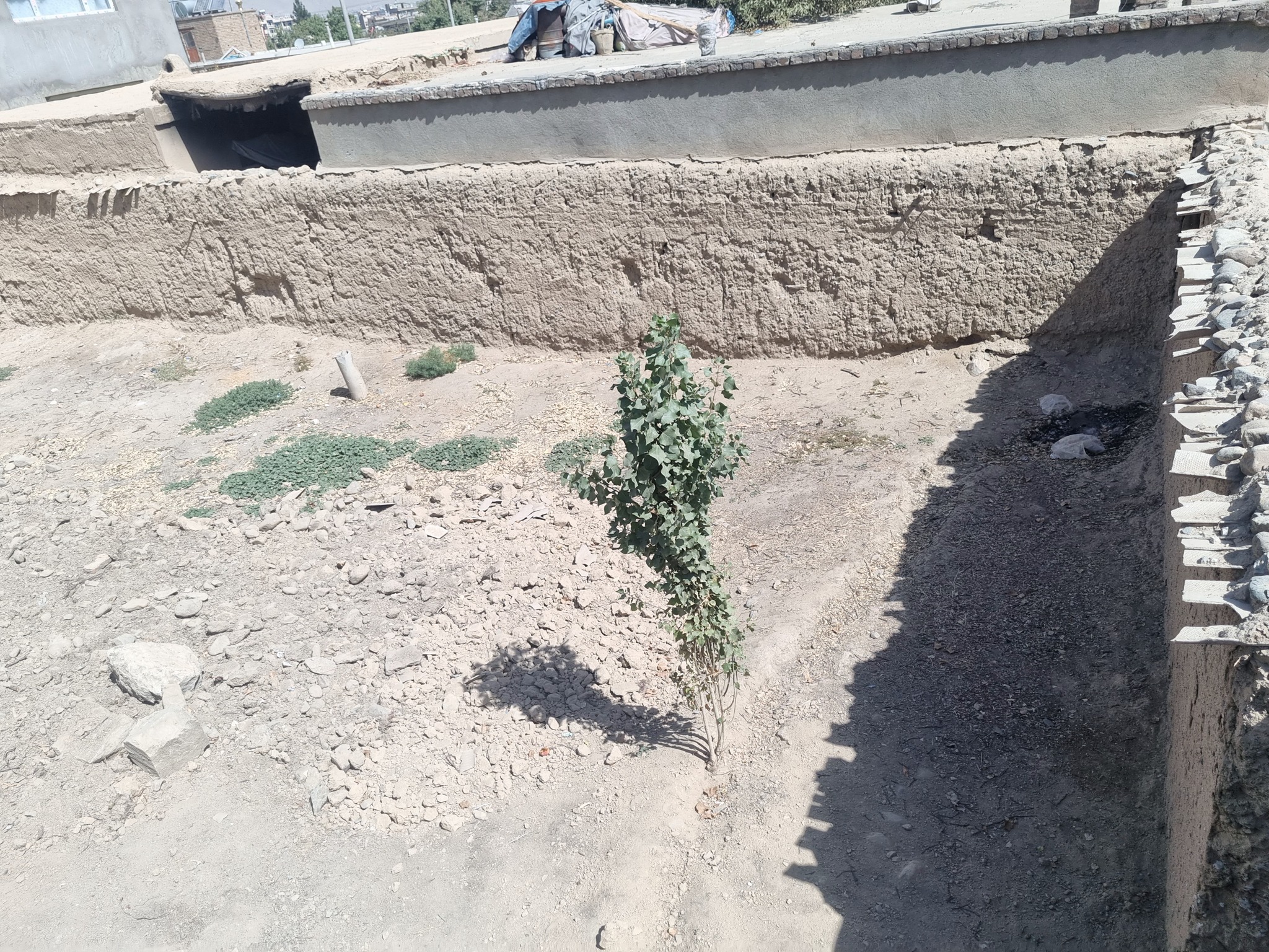 زمین فروشی.