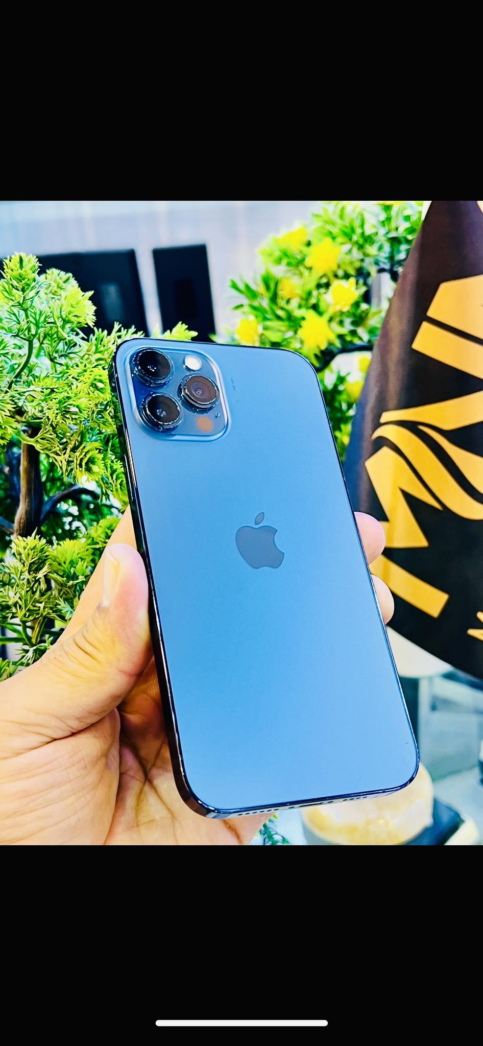 ✨iPhone 12 Pro Max