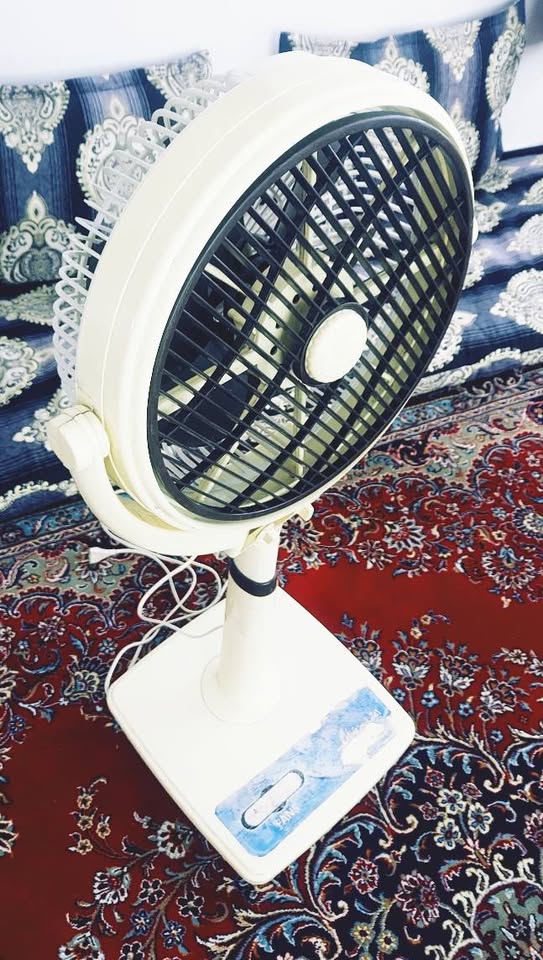 یک عدد باد پکه اصلی