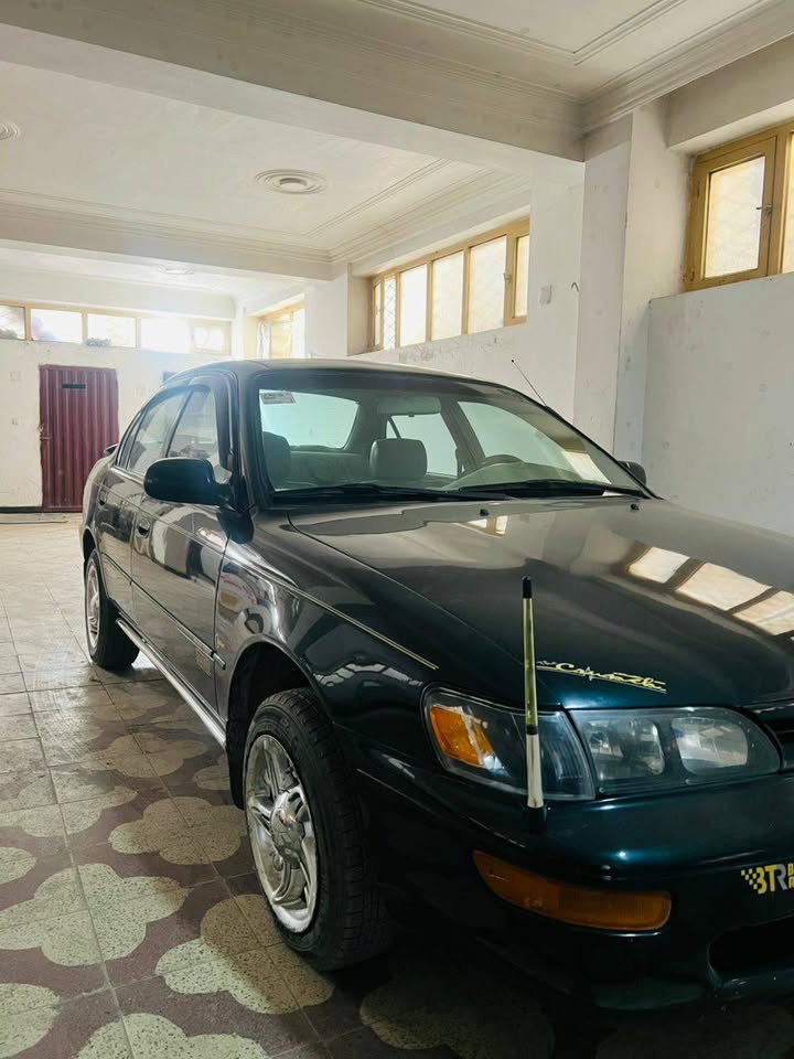 کرولا کانادایی