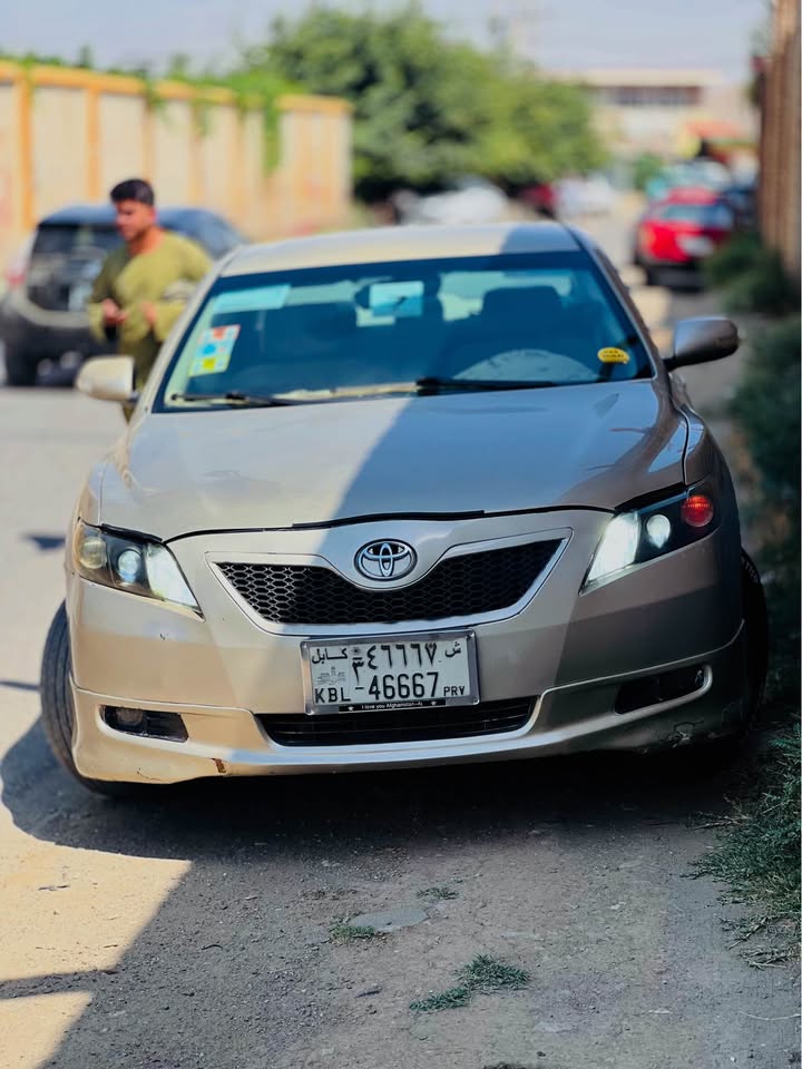 كمرى فروشى و مالچه یی