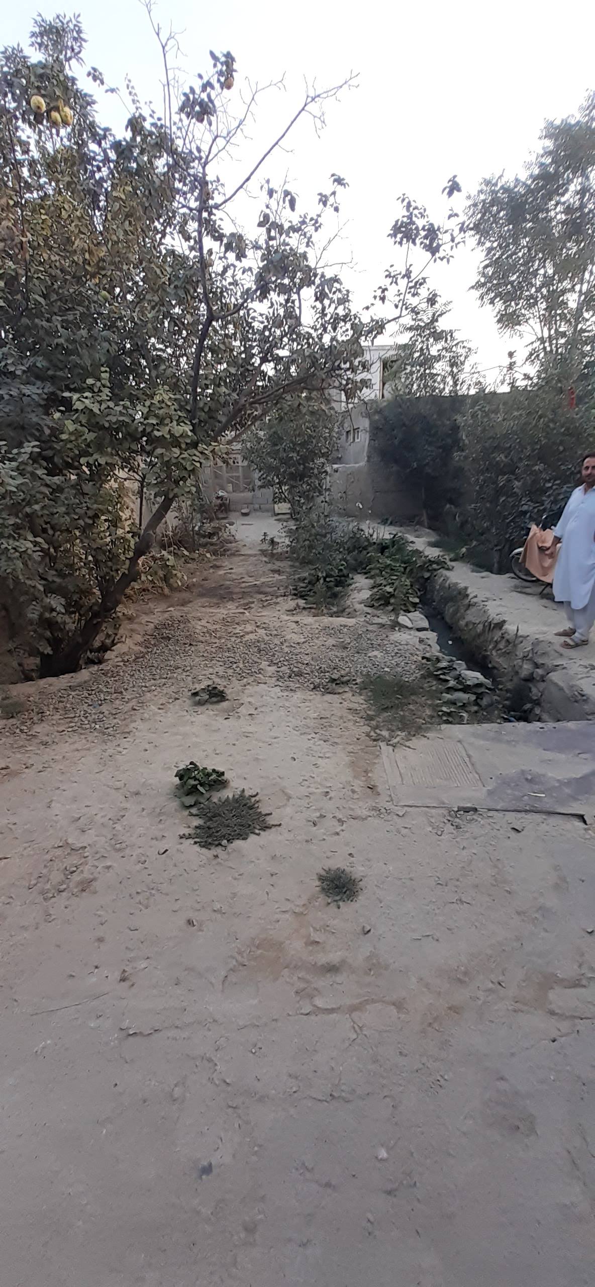 یک دربندحولی فروشی