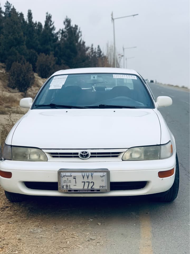 کرولای کانادایی