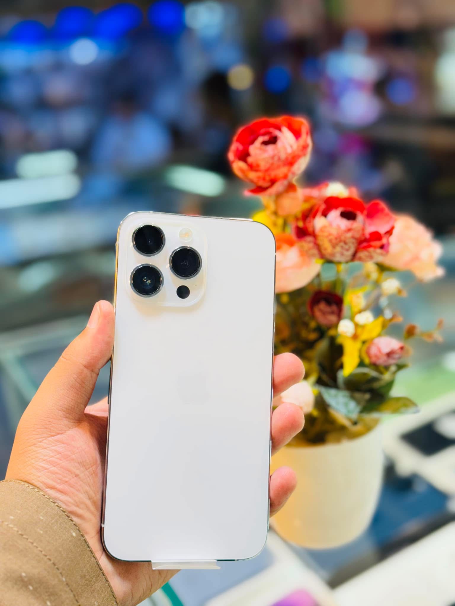 iPhone 14  Pro Max