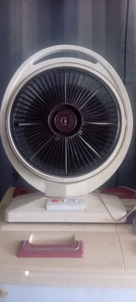 سه تا پکه دیواری دو دانه پکه چتی