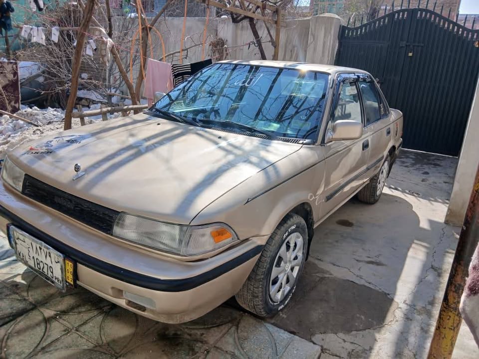 مودل 1991