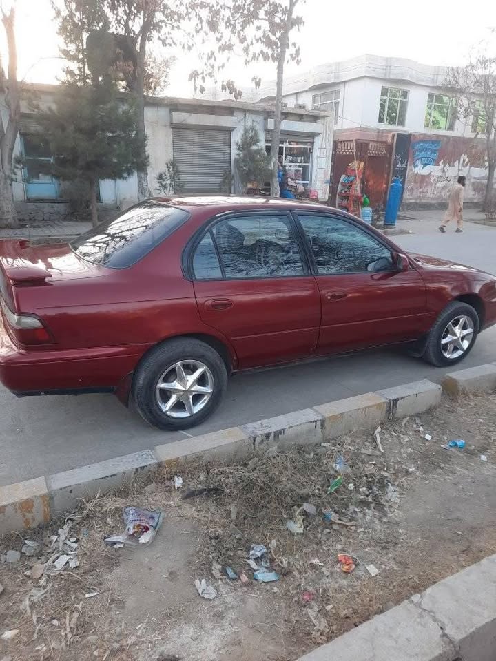 کرولا کانادی